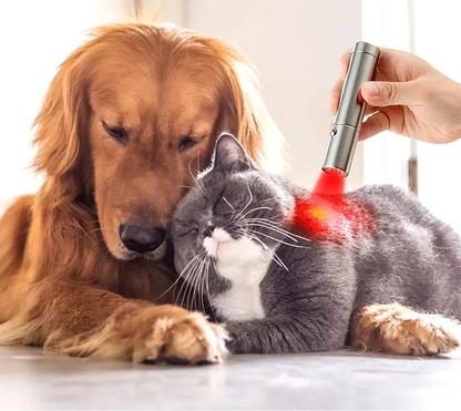 Utilisation stylo LED à 1–3 cm de la zone – possible sur animaux de compagnie 