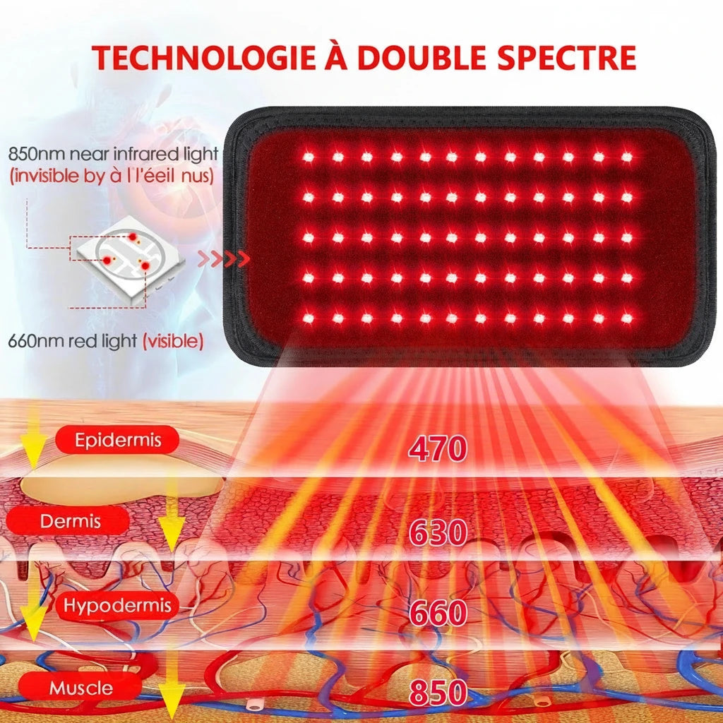 Accessoires adaptateurs secteur UK US AU UE pour ceinture LED